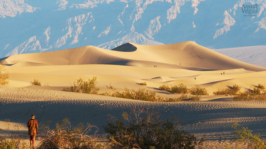 デスバレー　サンドデューン